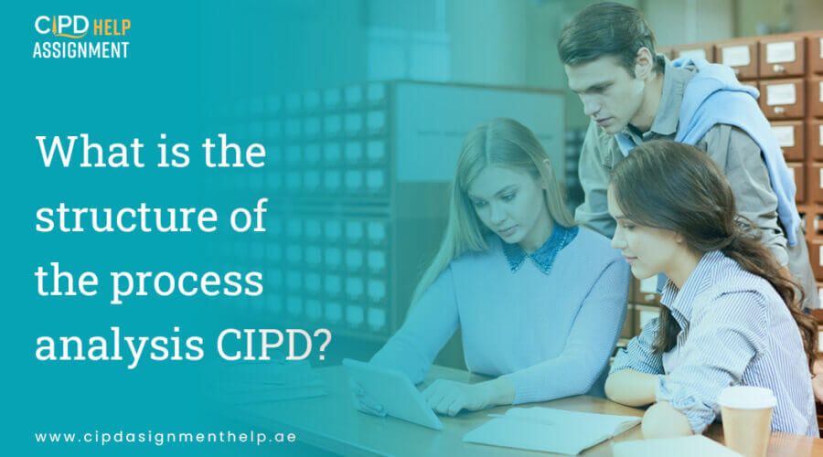 What is the structure of the process analysis CIPD