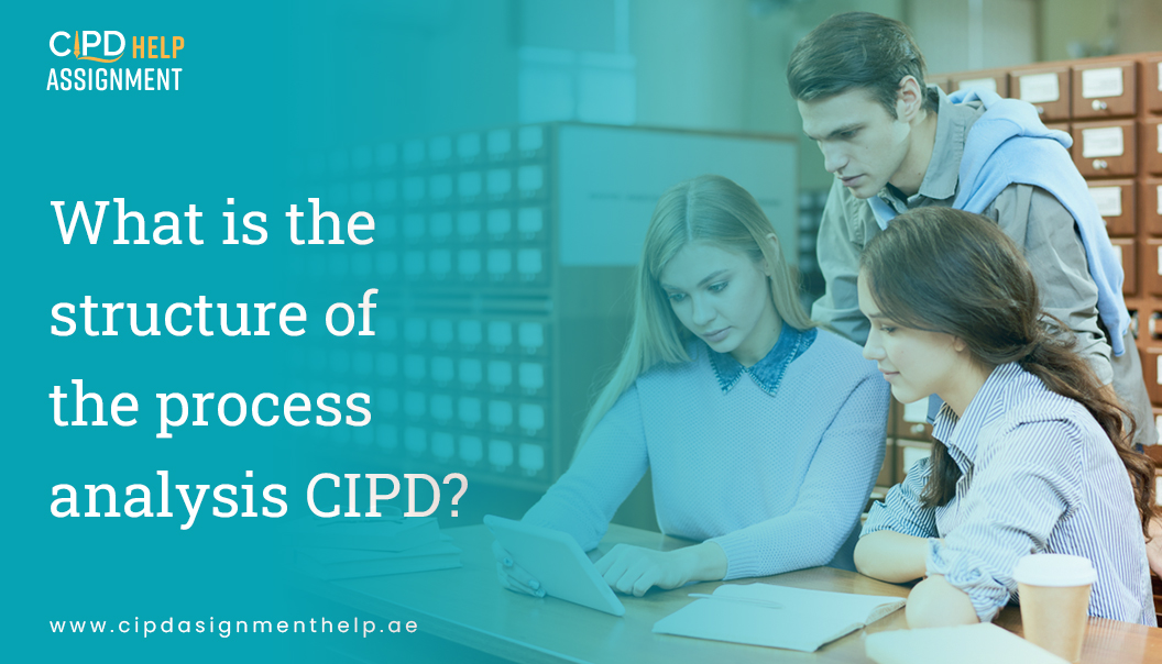 What is the structure of the process analysis CIPD