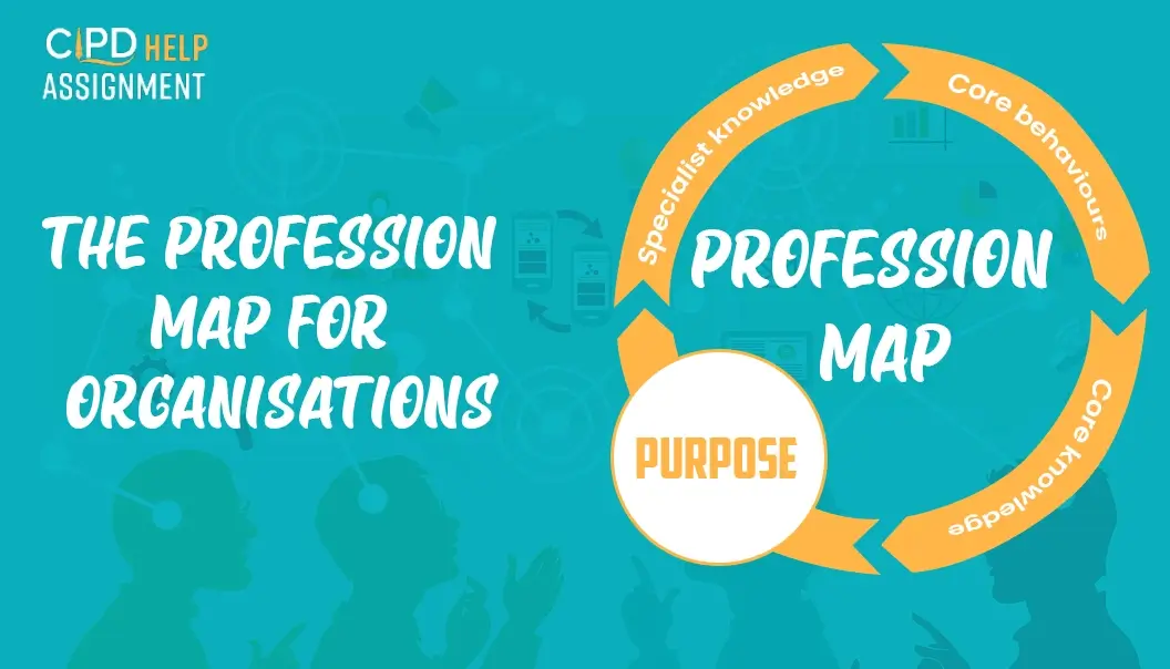 The Profession Map for organisations