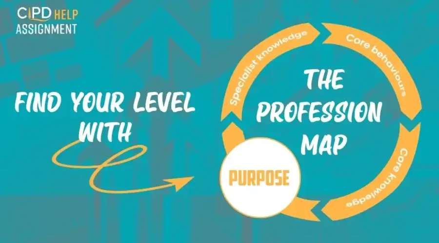 Find your level with the Profession Map