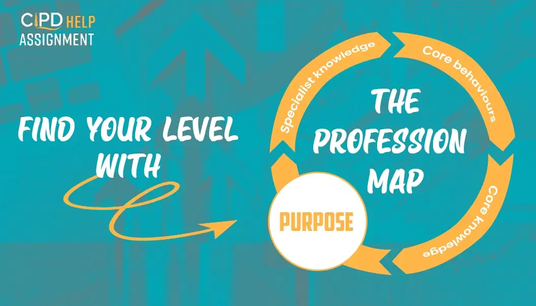 Find your level with the Profession Map