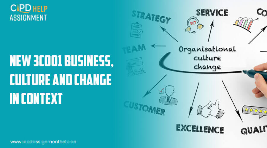 NEW 3CO01 business, culture, and change in context