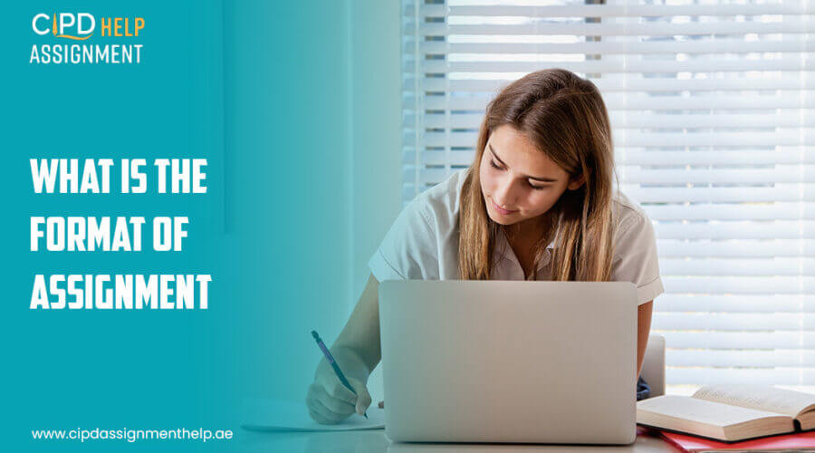 WHAT IS THE FORMAT OF ASSIGNMENT